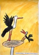 Kusendová Viktória.jpg